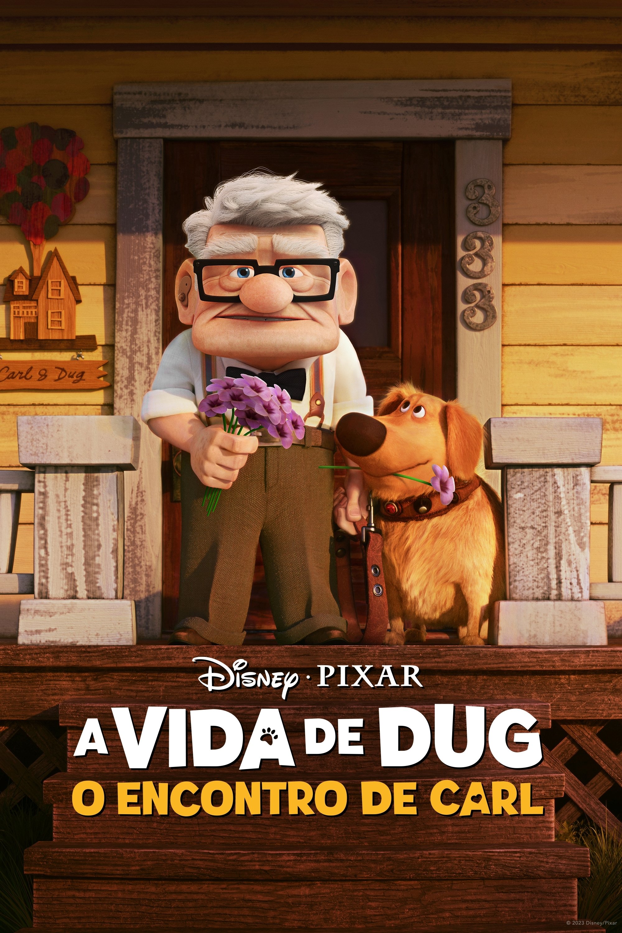 Poster de O Encontro de Carl
