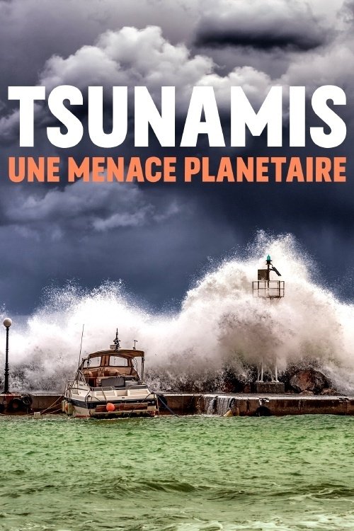 Poster de Tsunamis, une menace planétaire