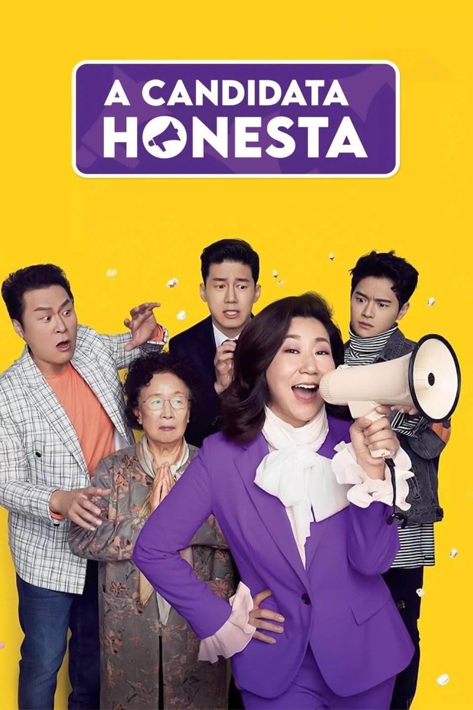 Poster de A Candidata Honesta