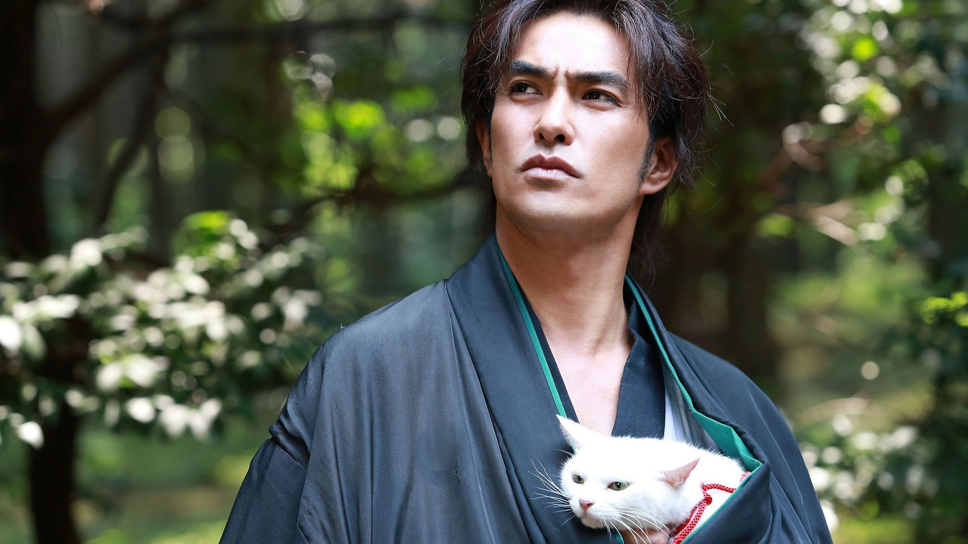 Samurai Cat: The Movie 2014 123movies