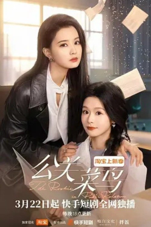 Poster de 公关菜鸟