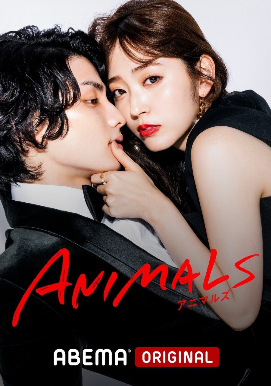 Poster de Animais