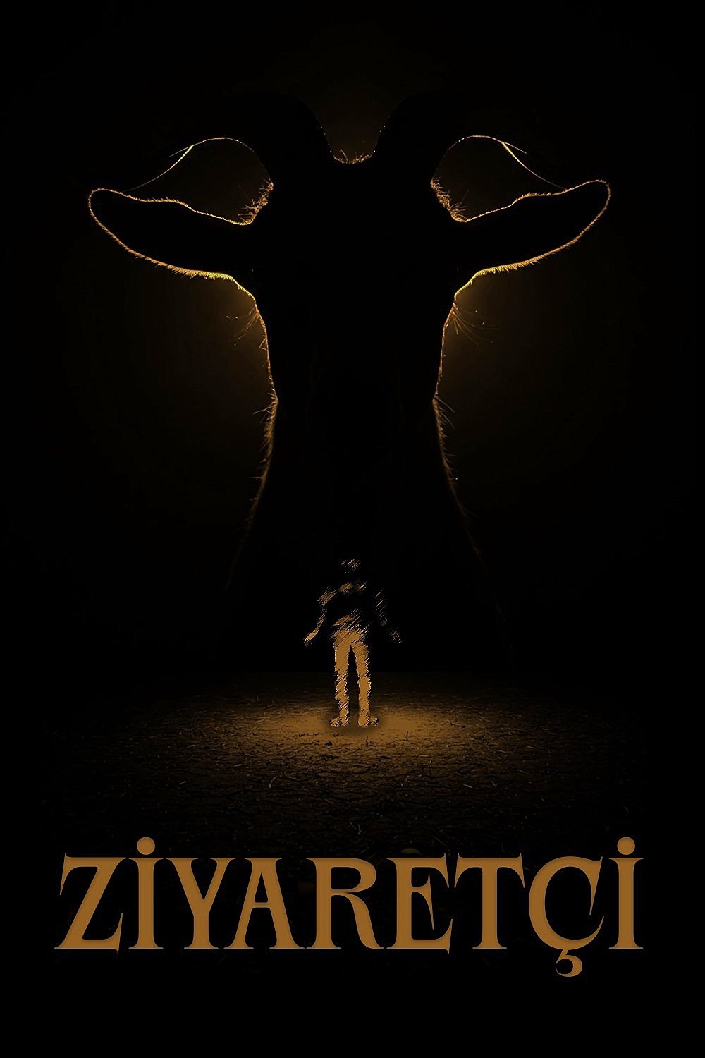 Poster de Visitor