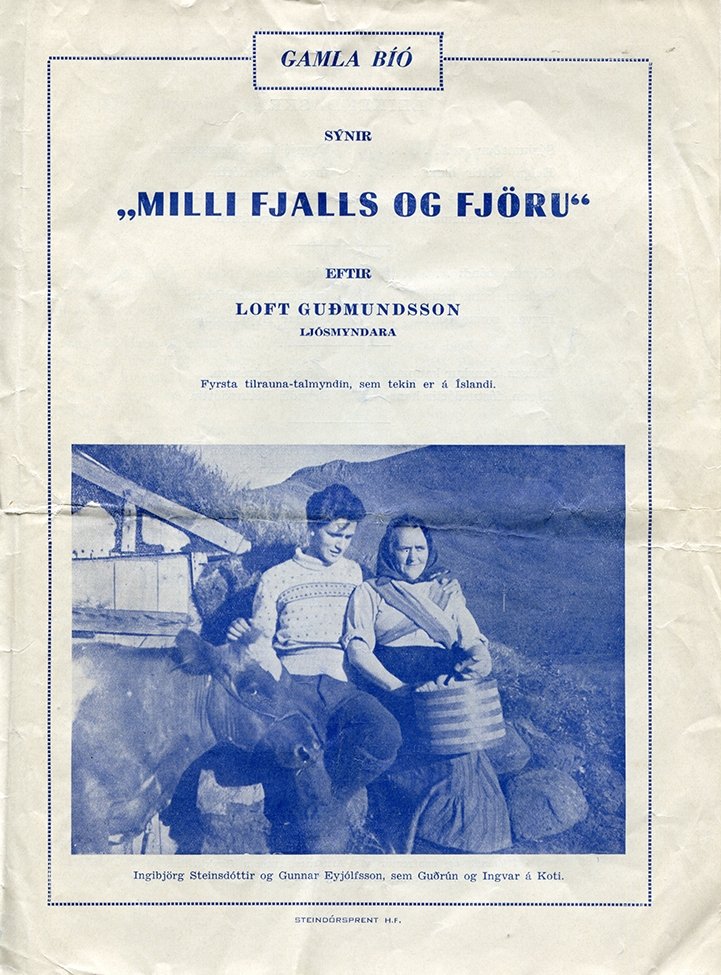 Poster de Milli fjalls og fjöru