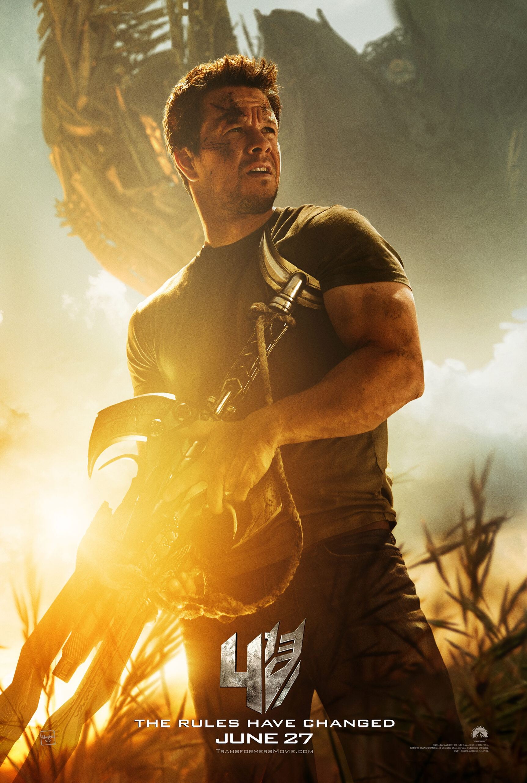 Affiche du film Evolution Within Extinction