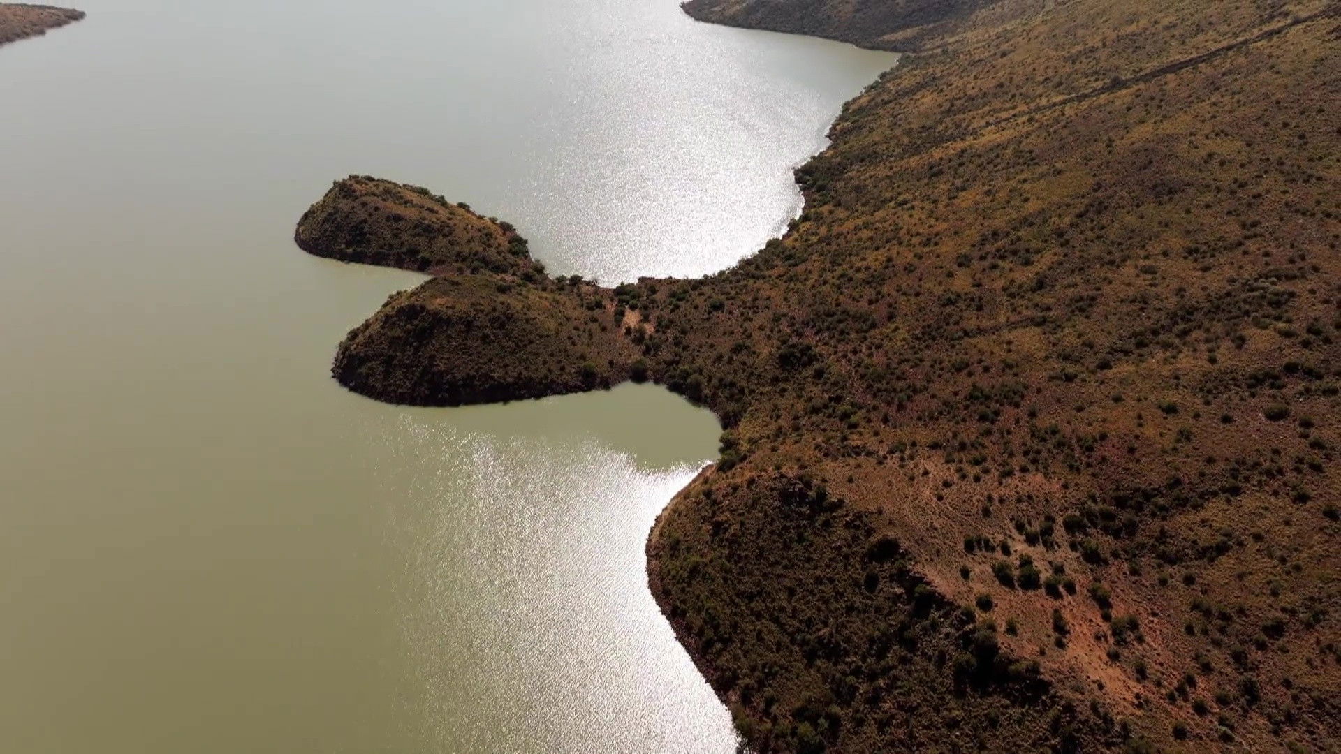 Meet the Participants: Africa