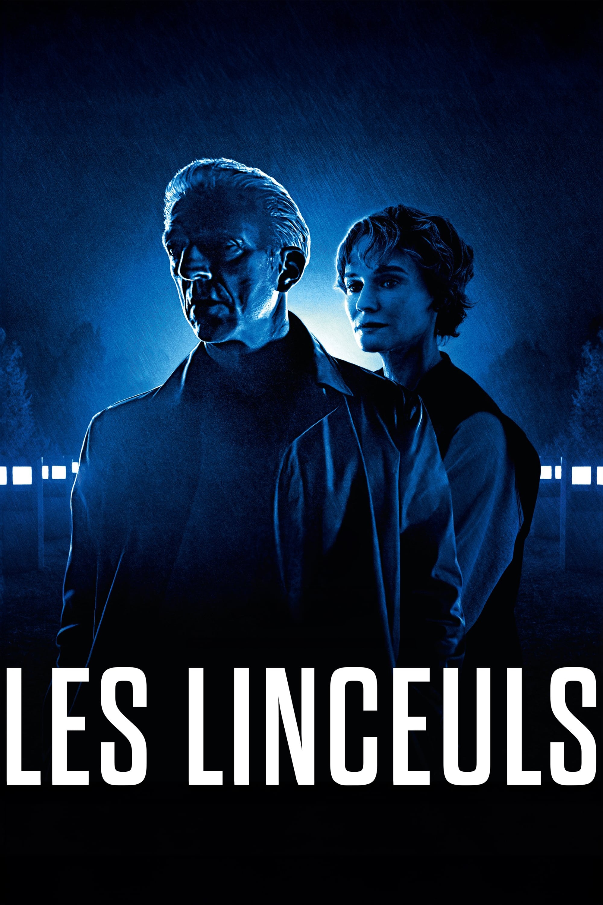 Affiche du film The Shrouds
