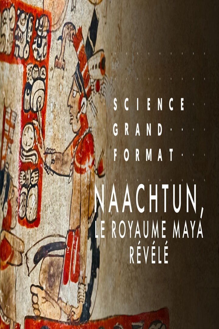 Poster de Naachtun, le royaume maya révélé