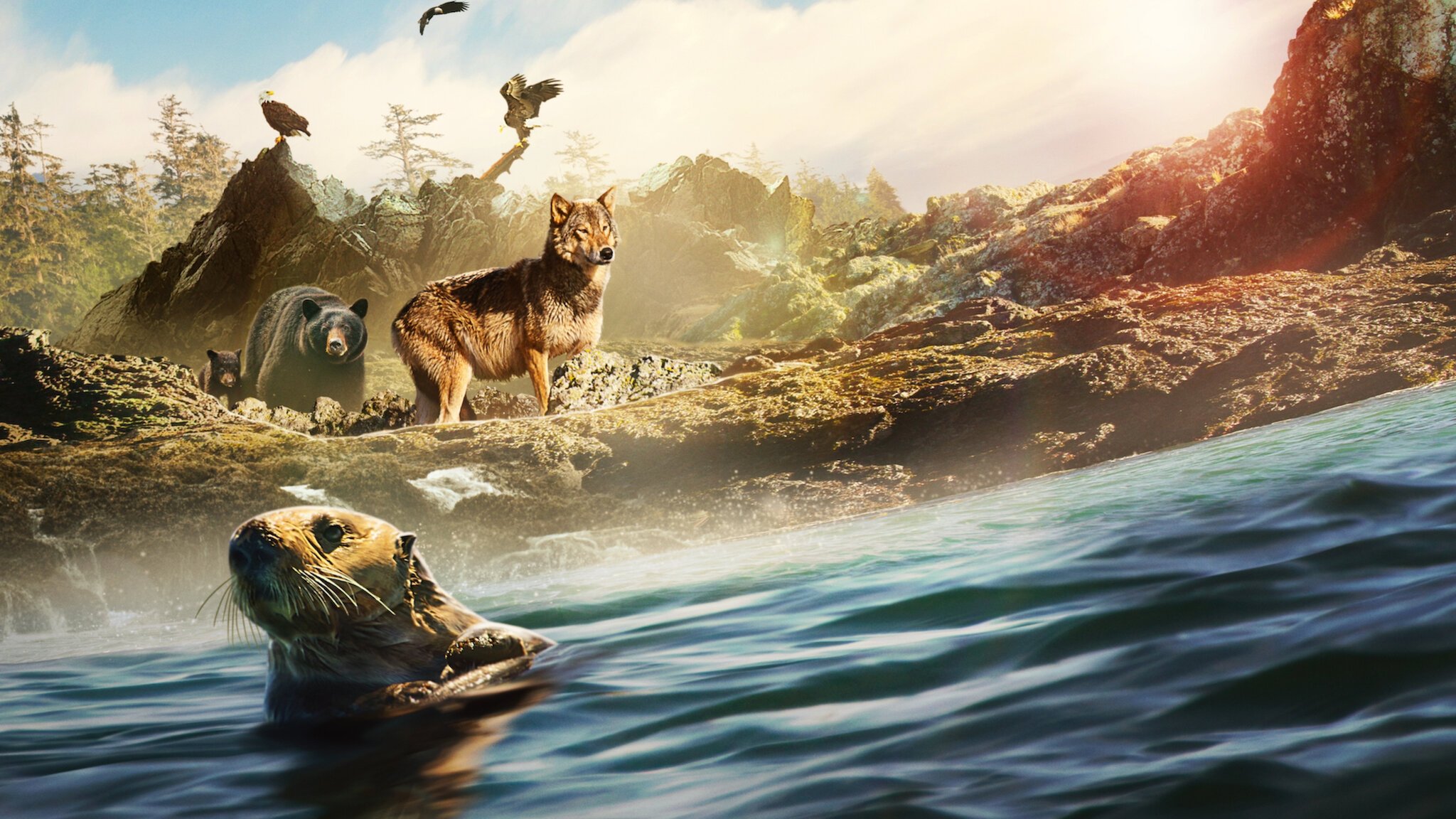 Backdrop image