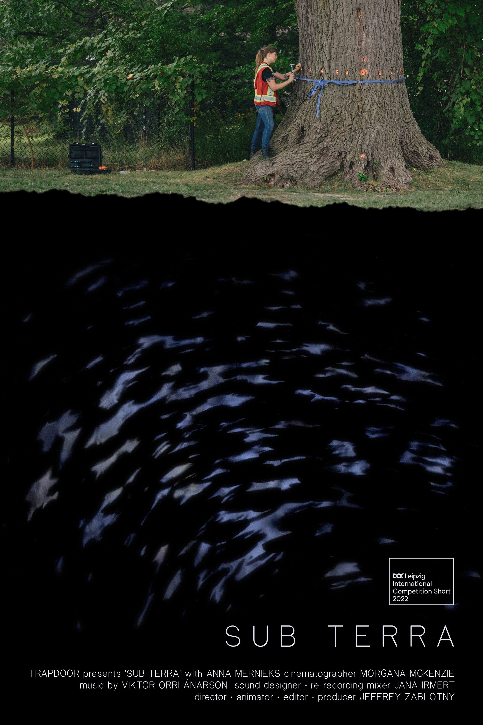 Poster de Sub Terra