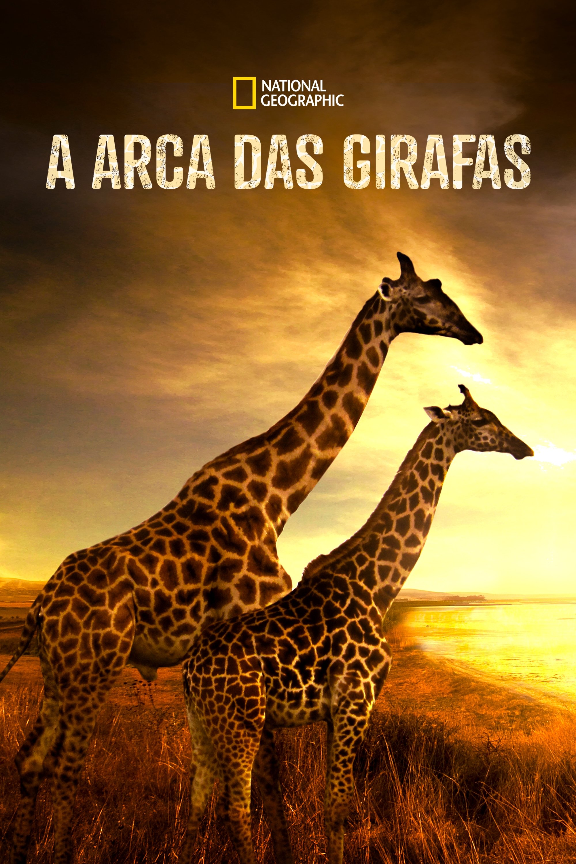 Poster de A Arca das Girafas