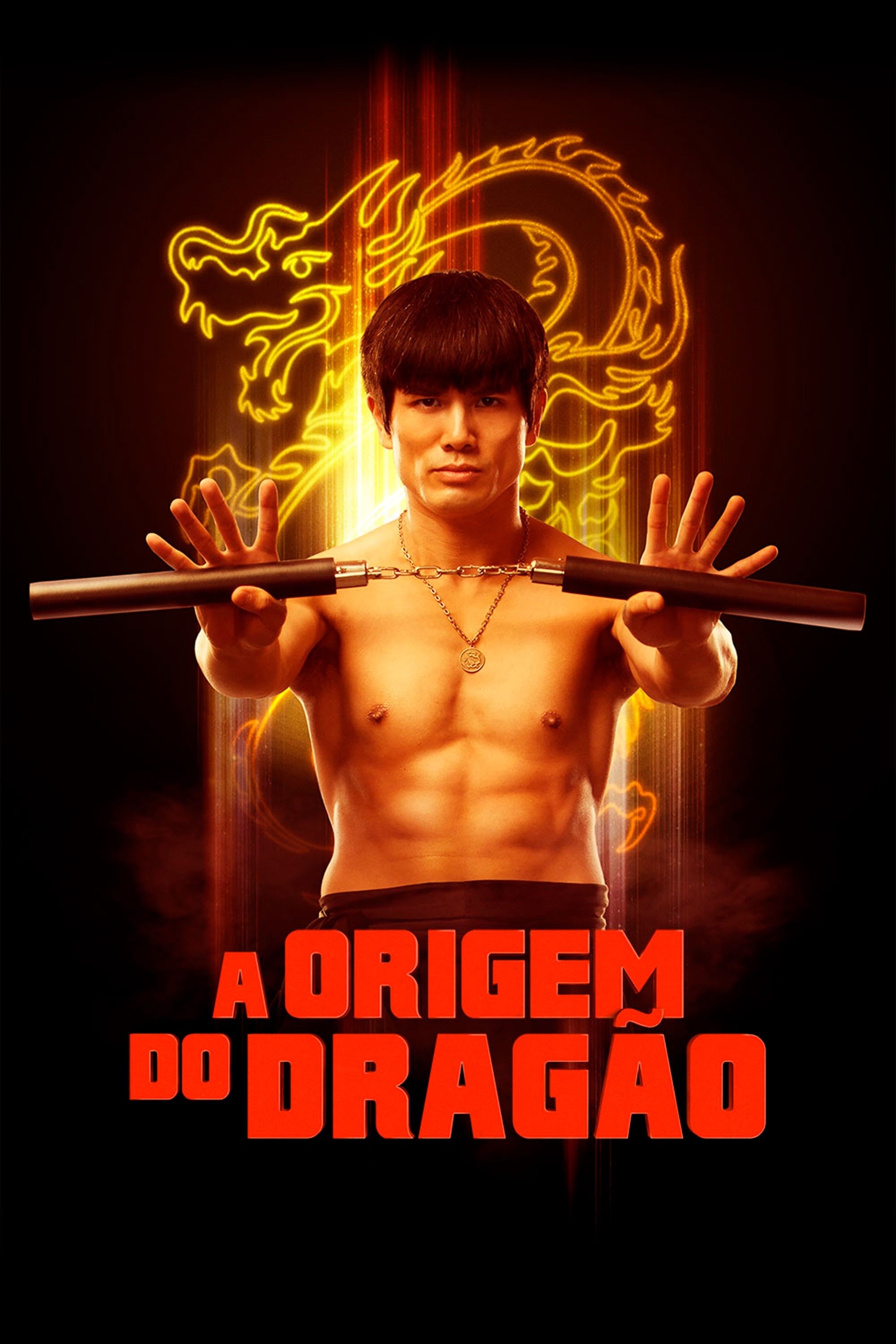 Poster de A Origem do Dragão