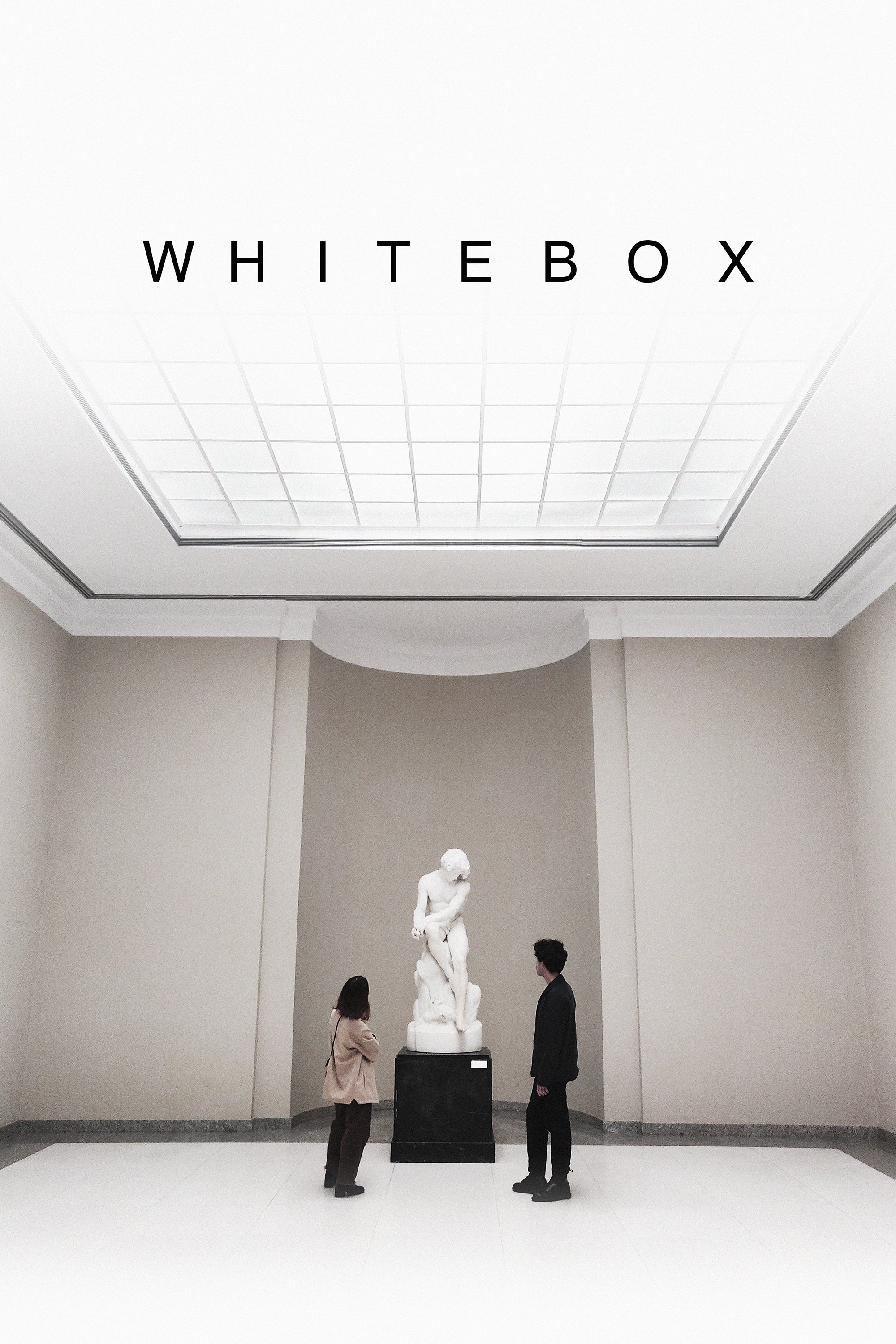 Poster de Whitebox