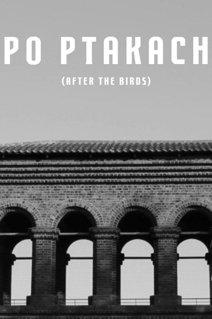 Poster de Po Ptakach