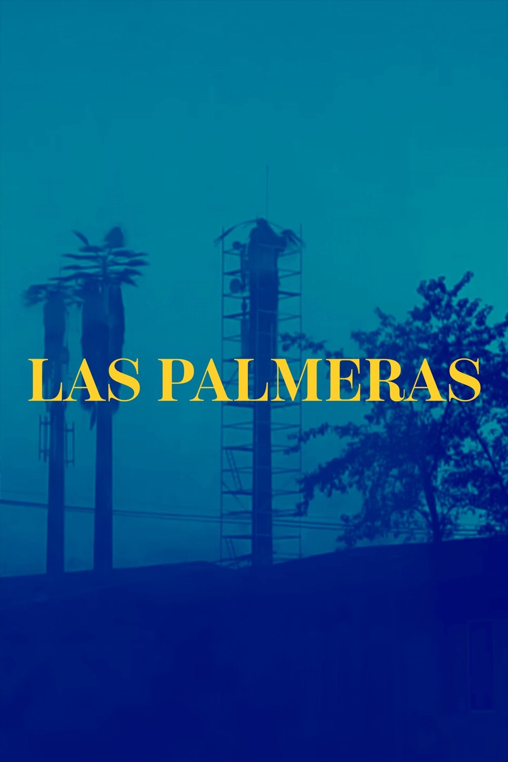 Poster de Las Palmeras (Documental Niños del Cerro)
