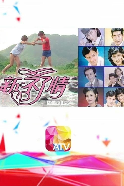 Poster de 新不了情