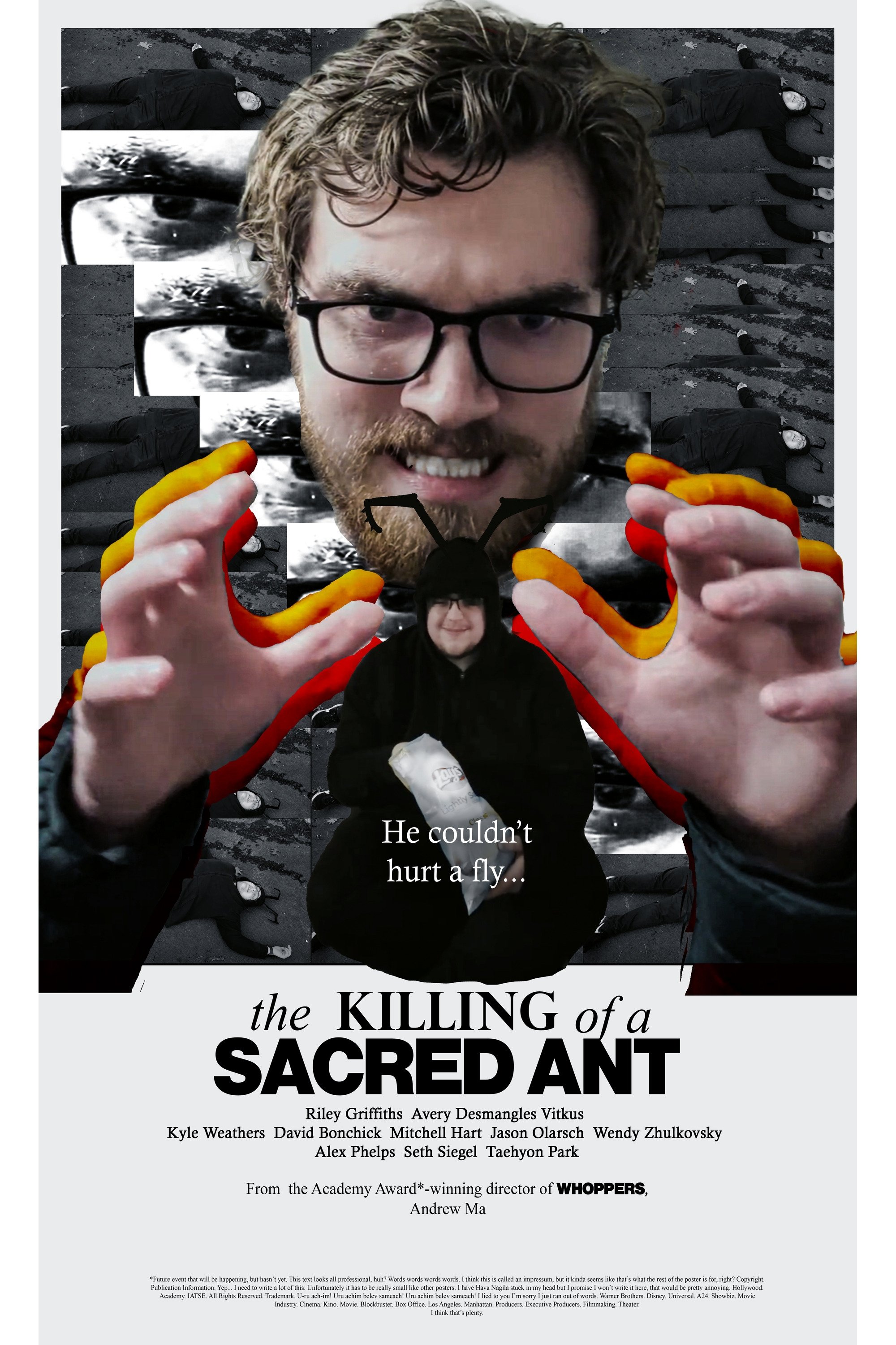 Poster of The Killing of a Sacred Ant