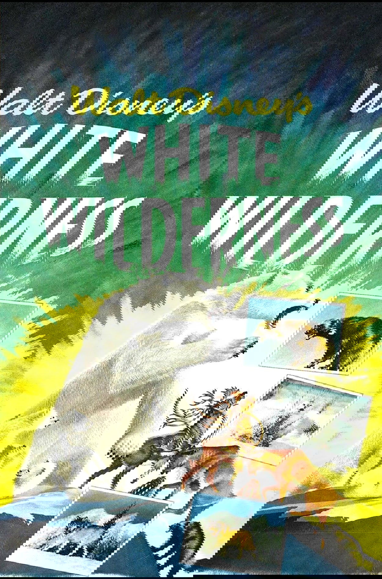 Poster de O Ártico Selvagem