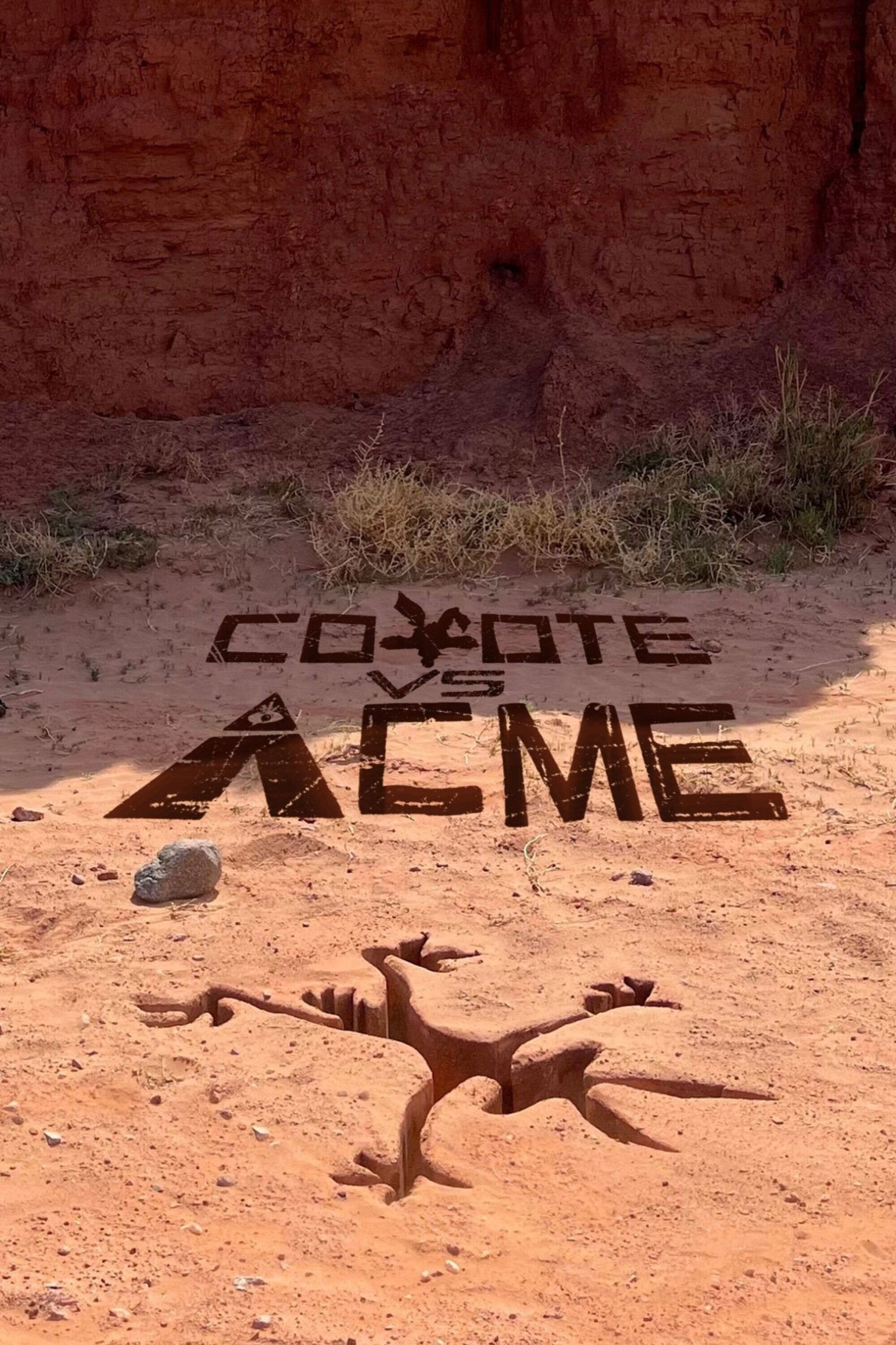 Coyote vs. Acme