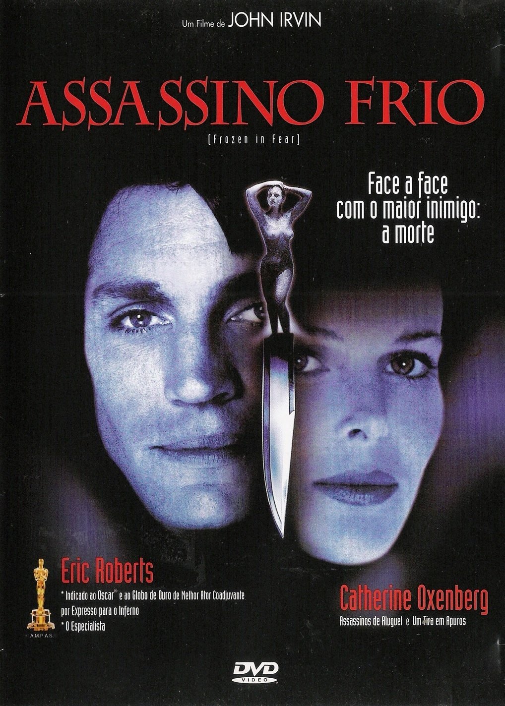 Poster de Assassino Frio