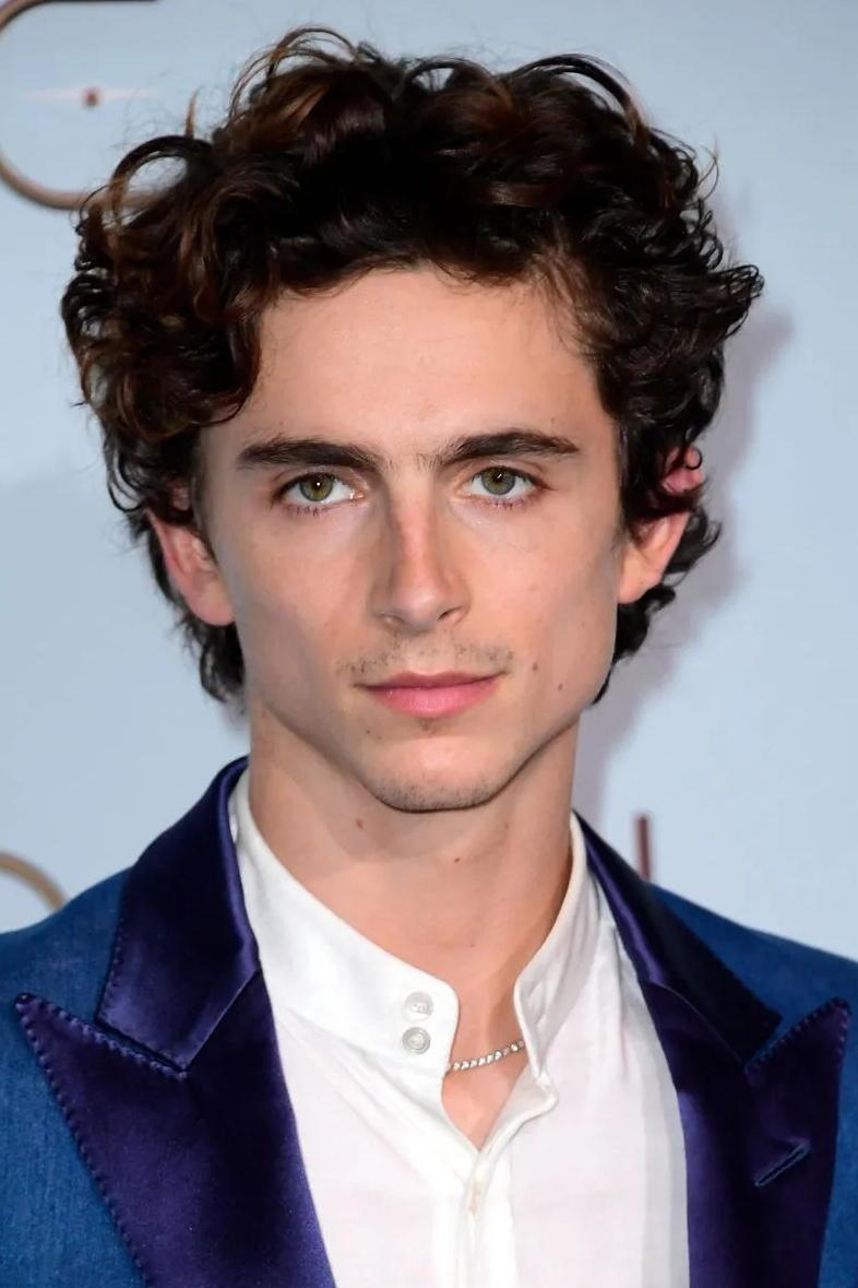 Foto de Timothée Chalamet