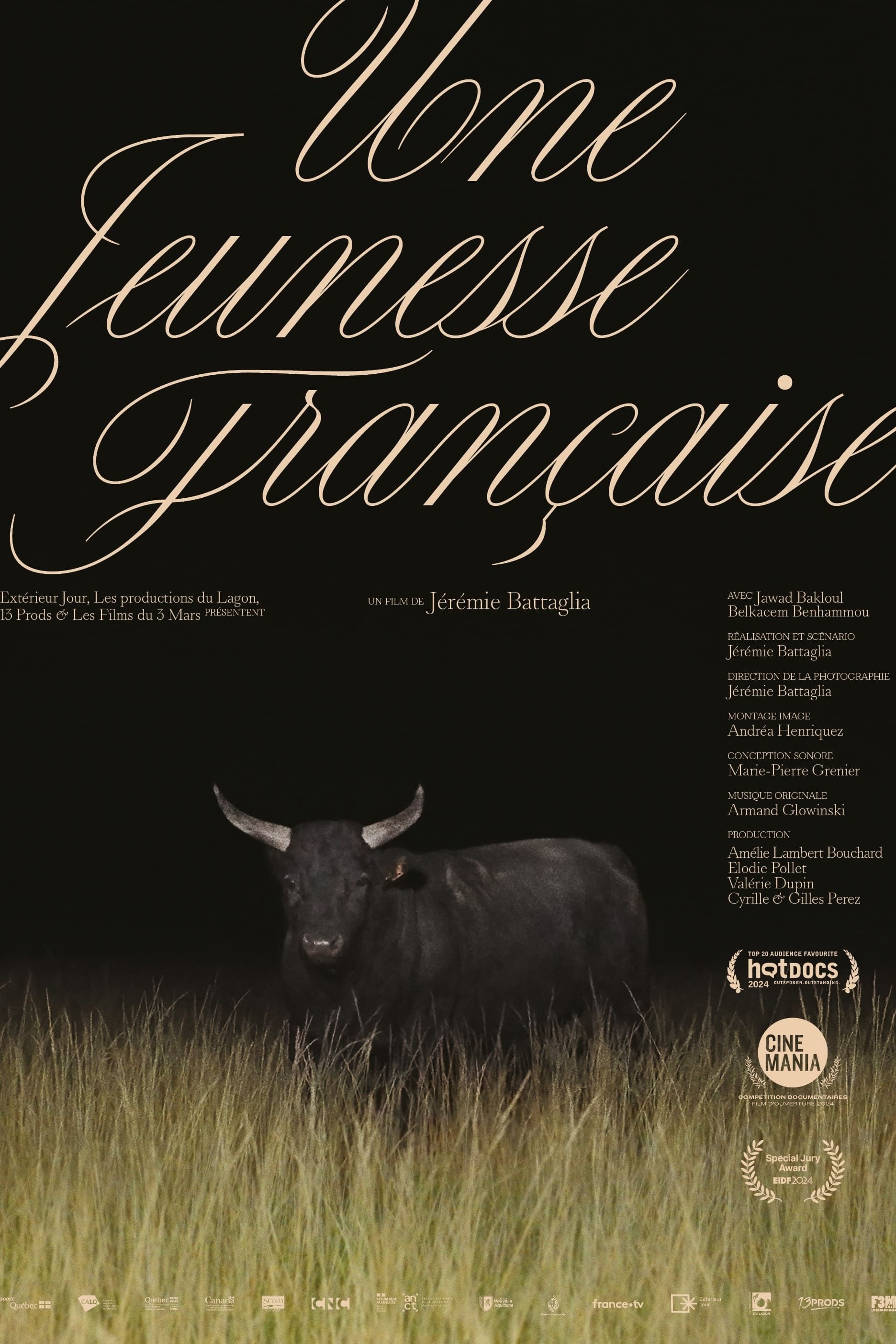 Poster de Une jeunesse française