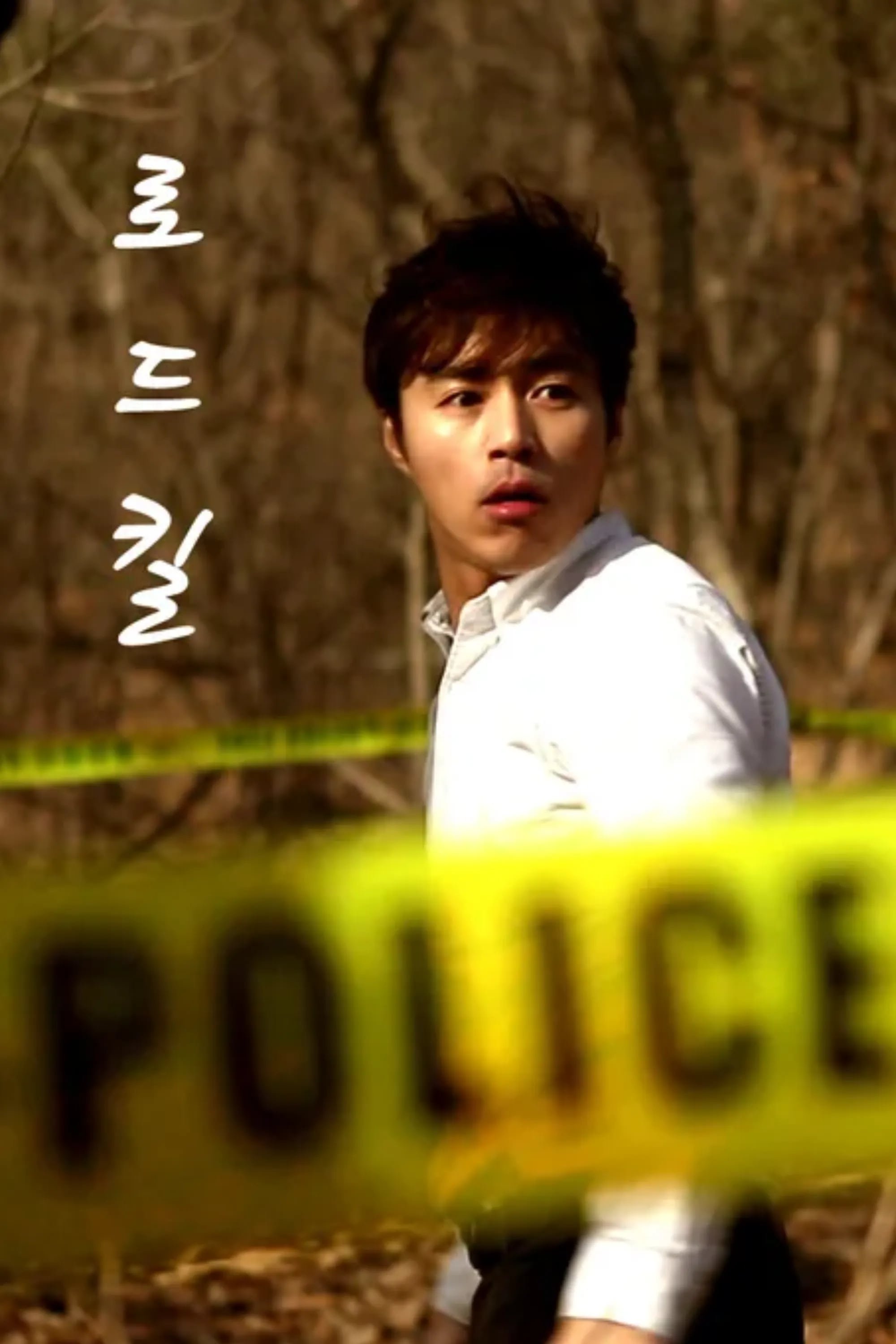 Poster de 로드킬