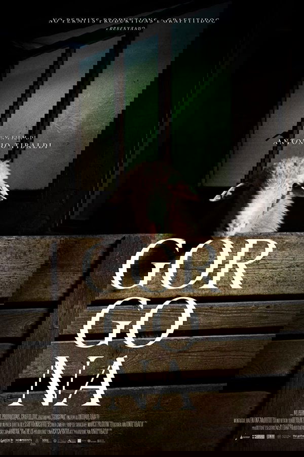 Gorgona