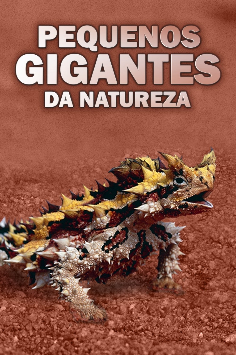 Poster de Pequenos Gigantes da Natureza