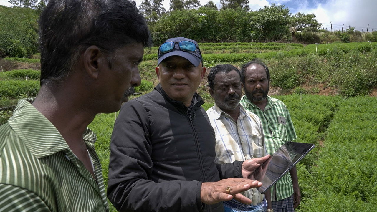 Empowering Farmers through Satellites and AI: India & Kenya