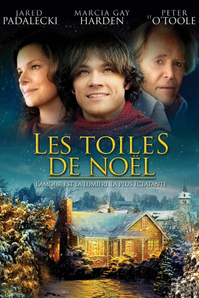 Affiche du film Christmas Cottage