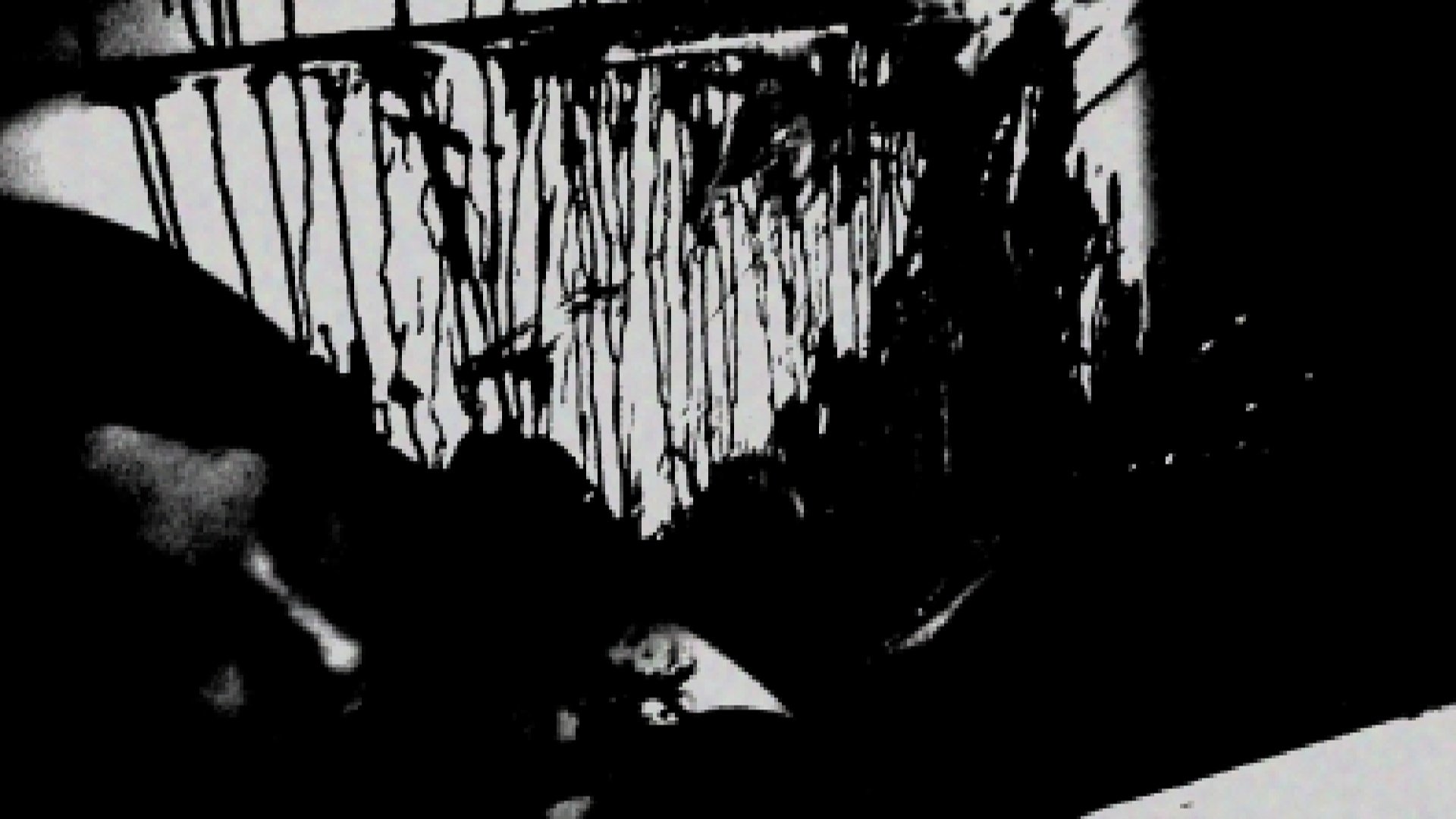 Backdrop