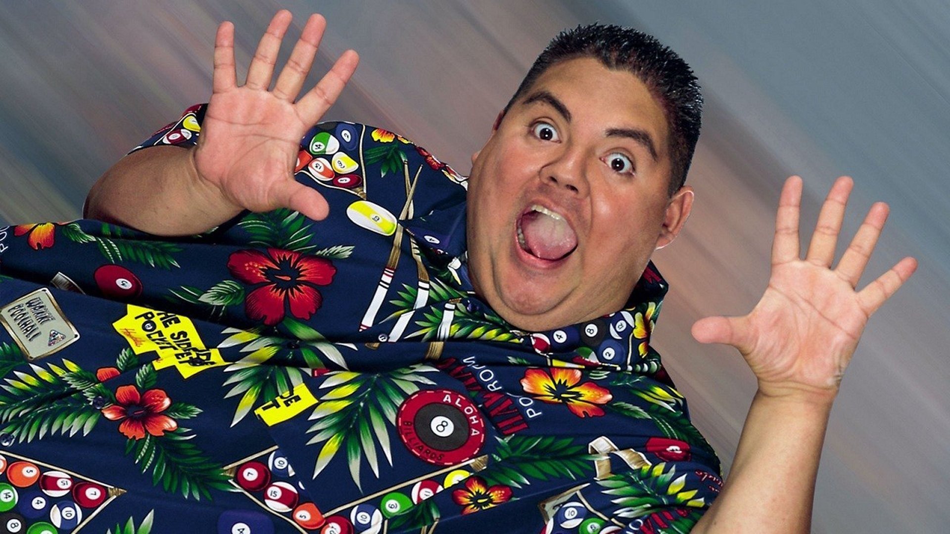 Gabriel Iglesias: Hot and Fluffy 2007 123movies