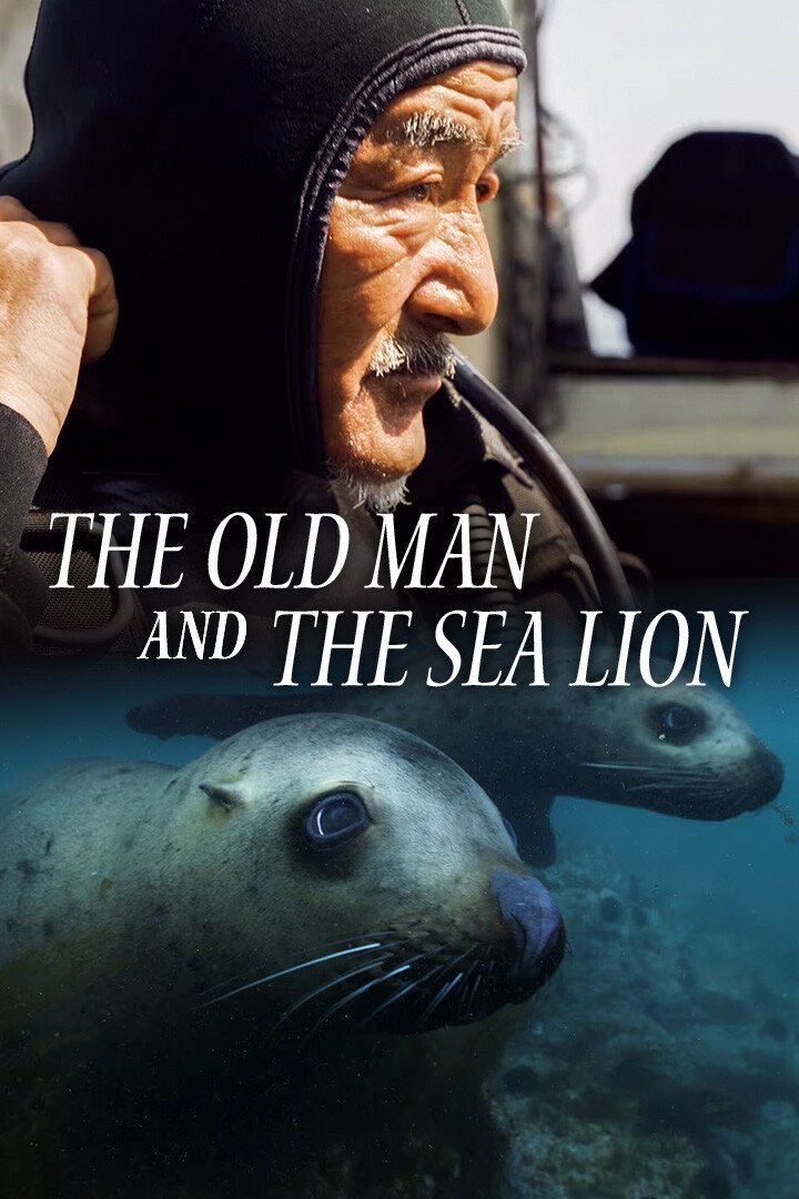 Poster de The Old Man and the Sea Lion