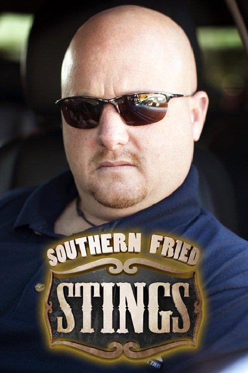 Poster de Southern Fried Stings