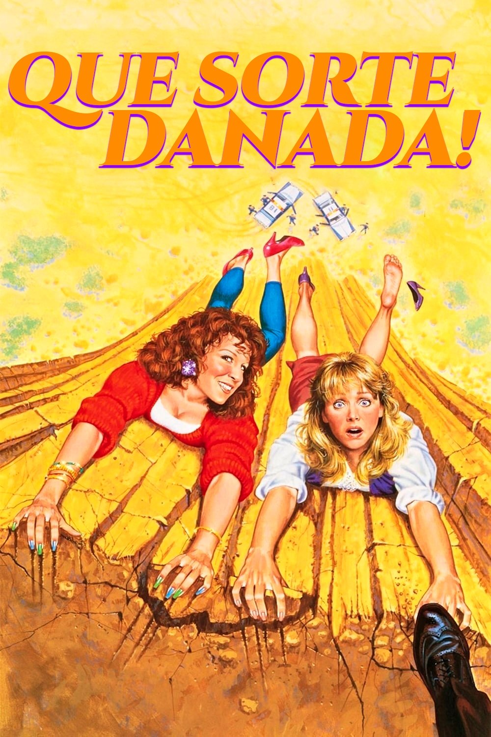 Poster de Que Sorte Danada!