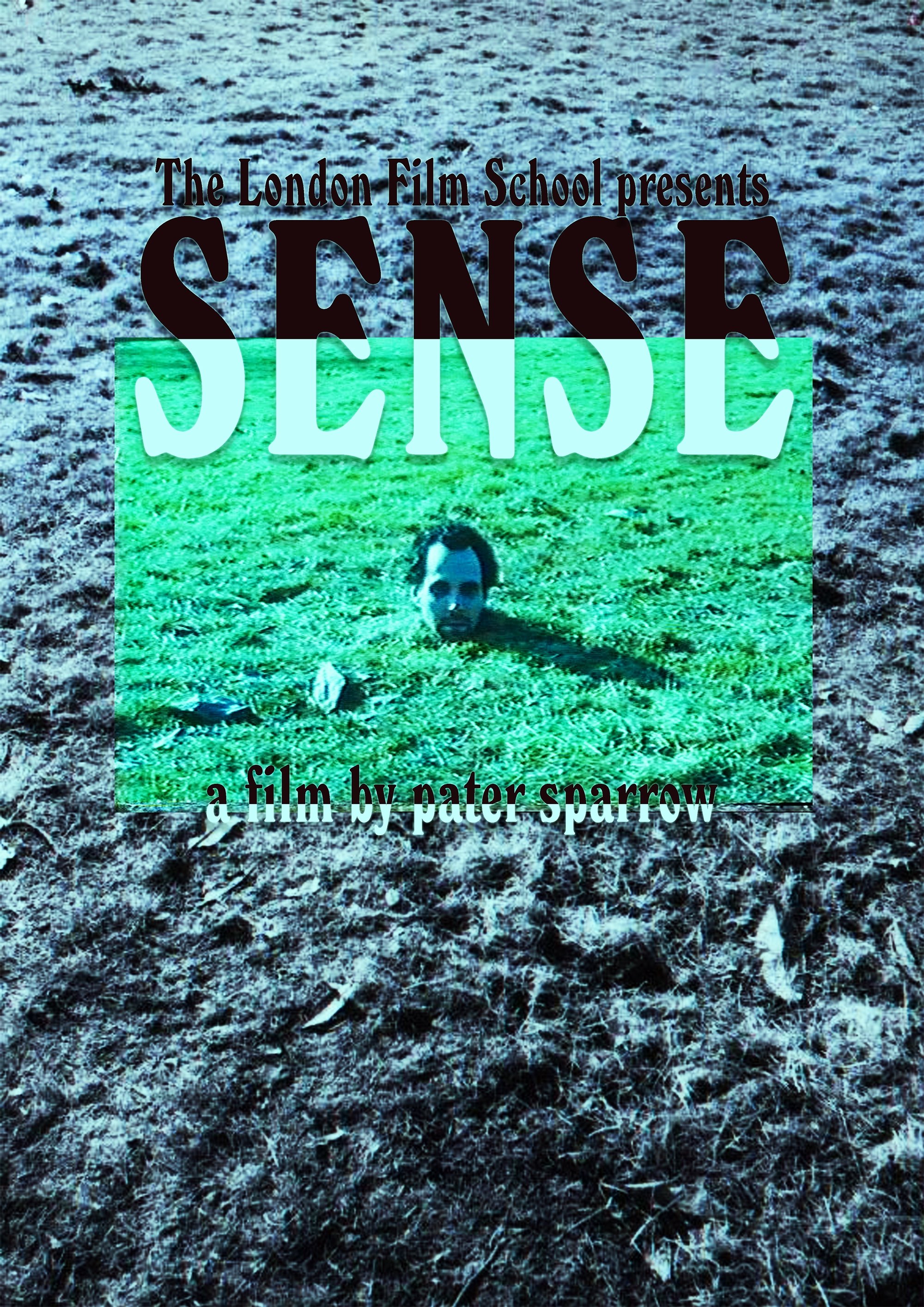 Poster de Sense