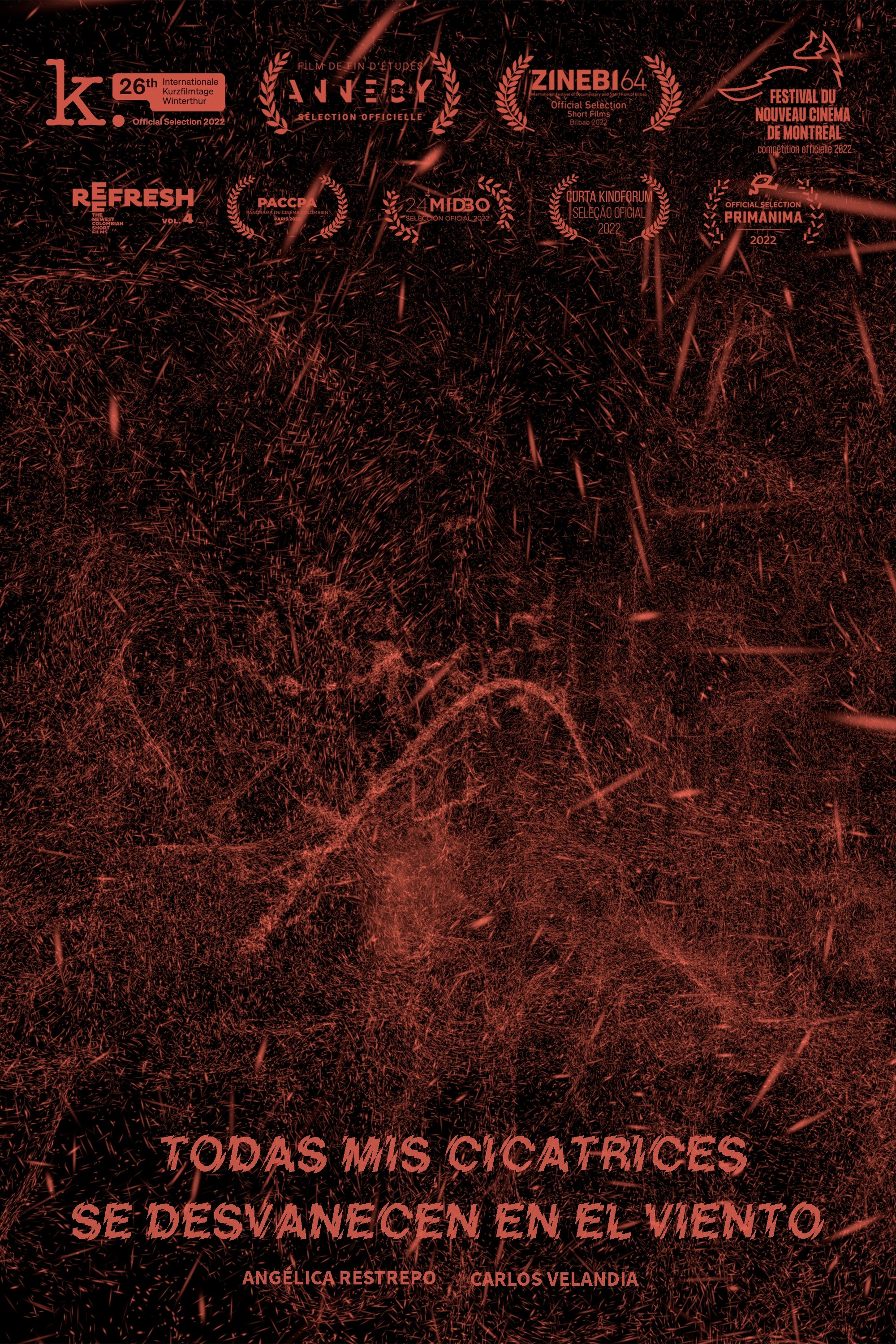 Poster de Todas mis cicatrices se desvanecen en el viento