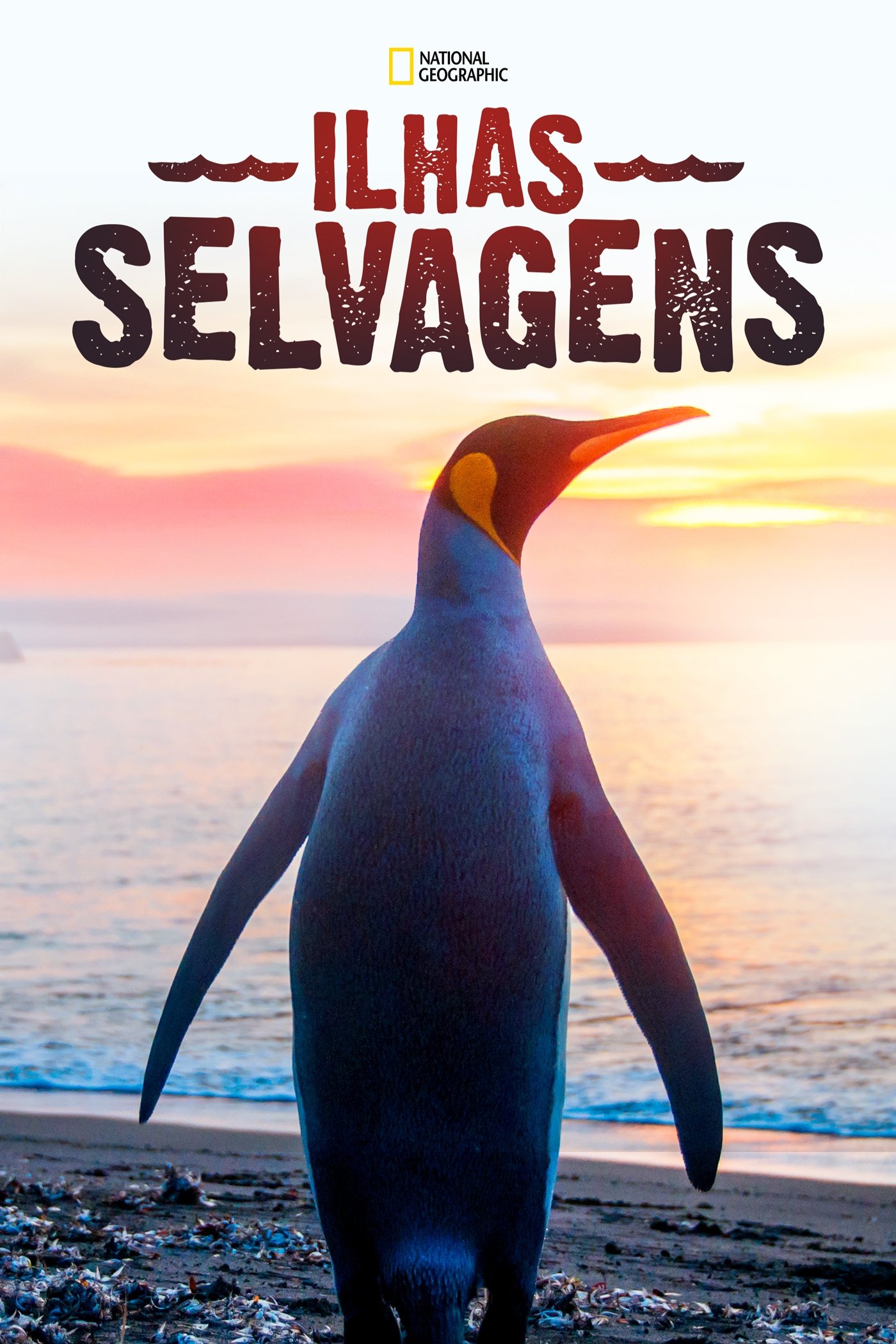 Poster de Ilhas Selvagens