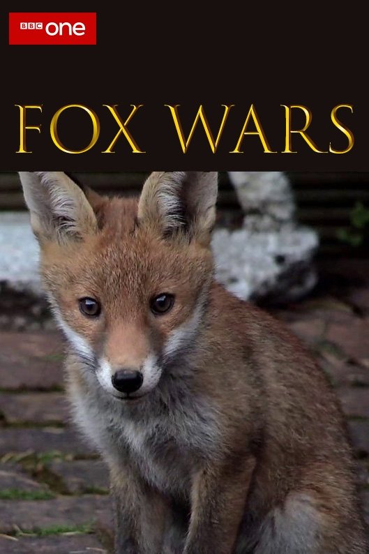 Poster de Fox Wars