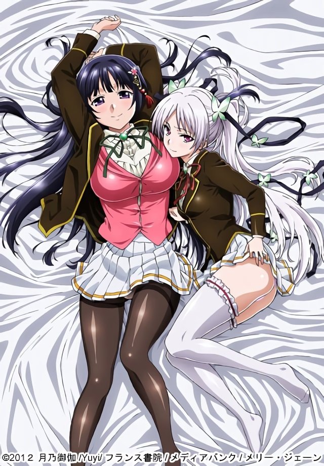 Poster de お嬢様☆嫁入り抗争!