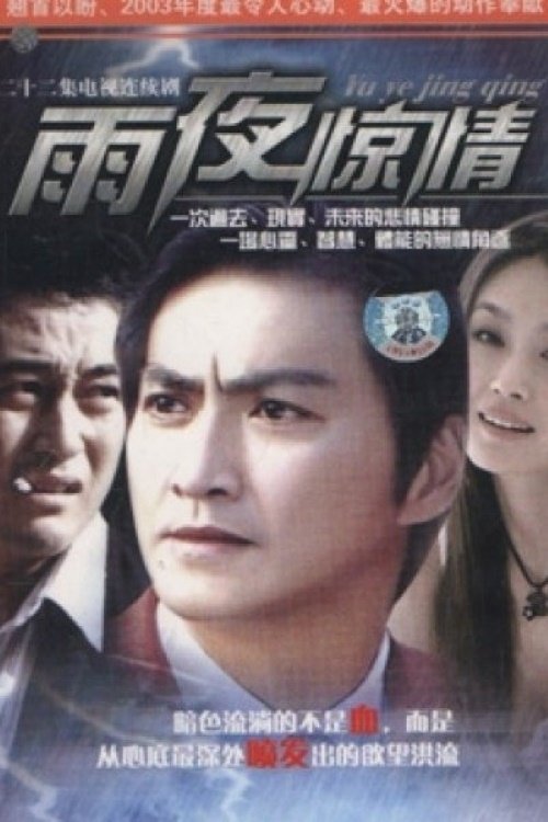 Poster de 雨夜惊情