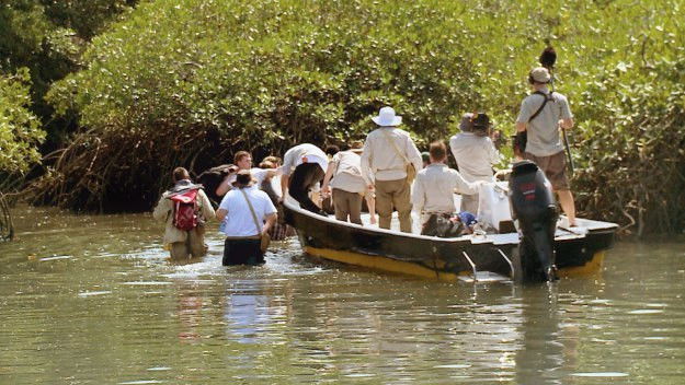 The Island with Bear Grylls
