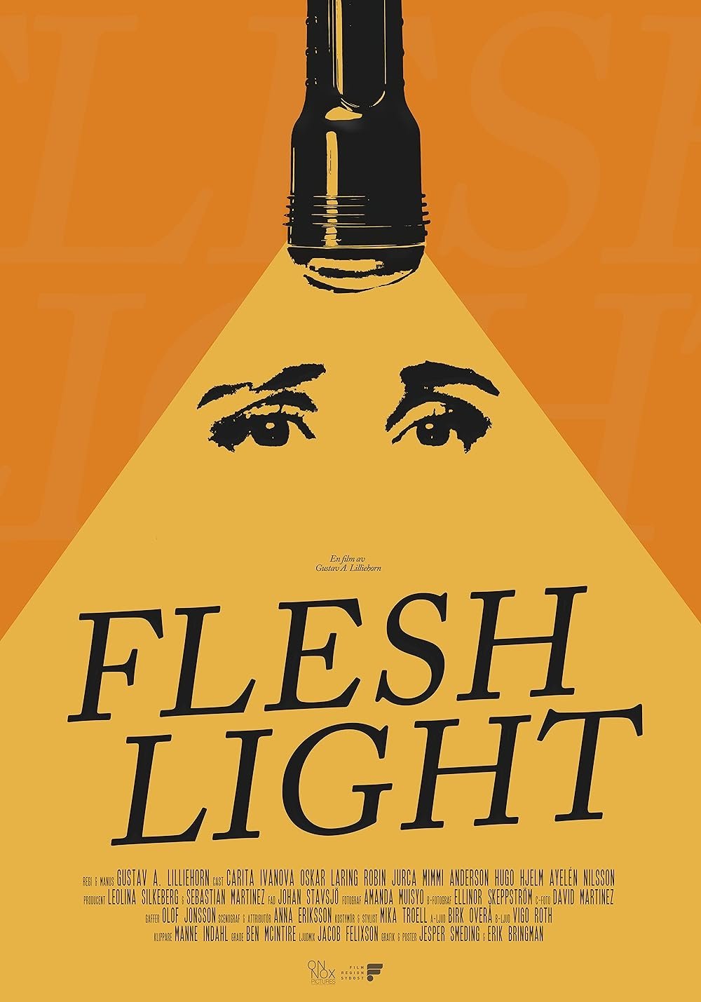 Poster de Fleshlight