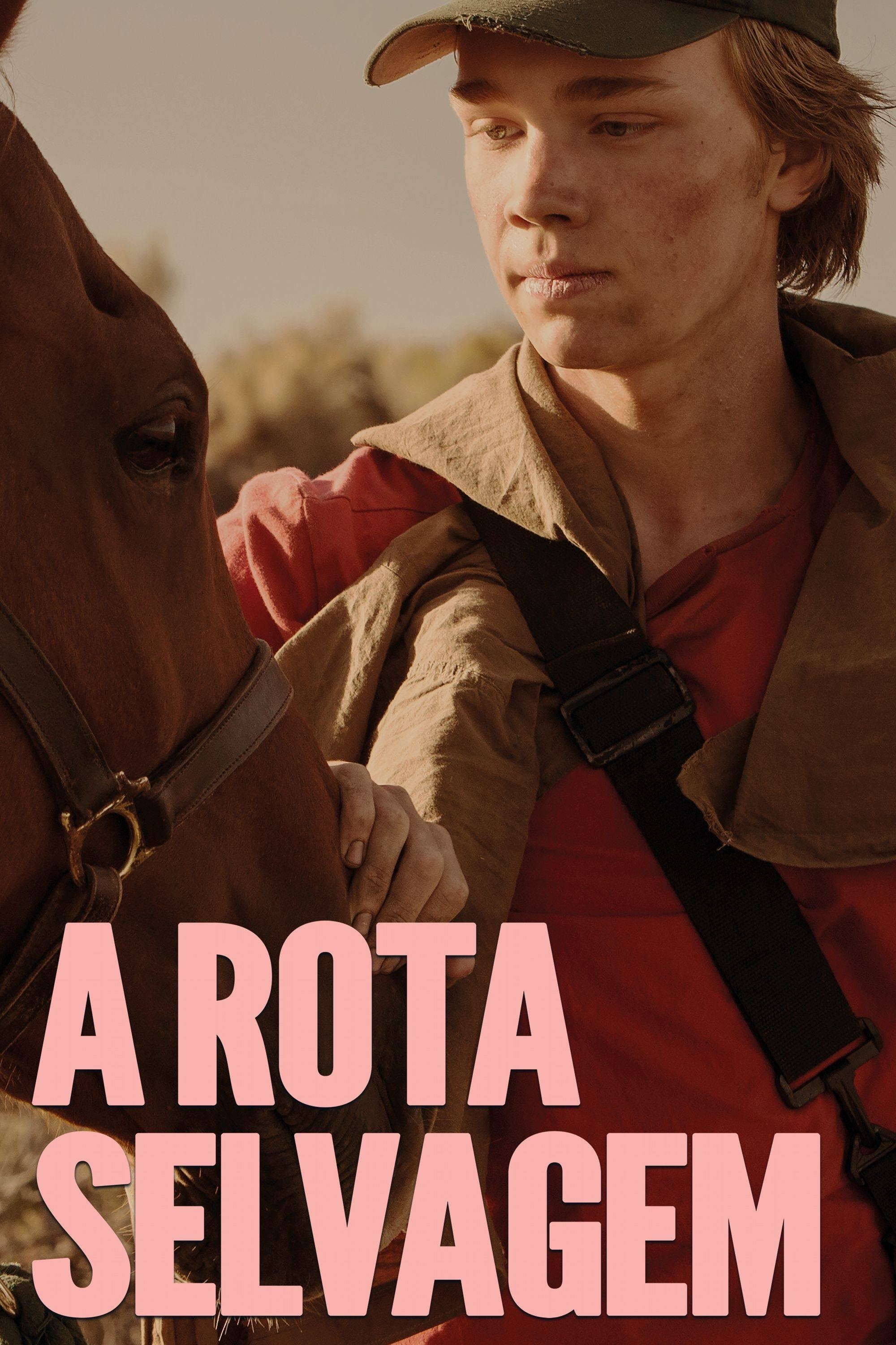 Poster de A Rota Selvagem
