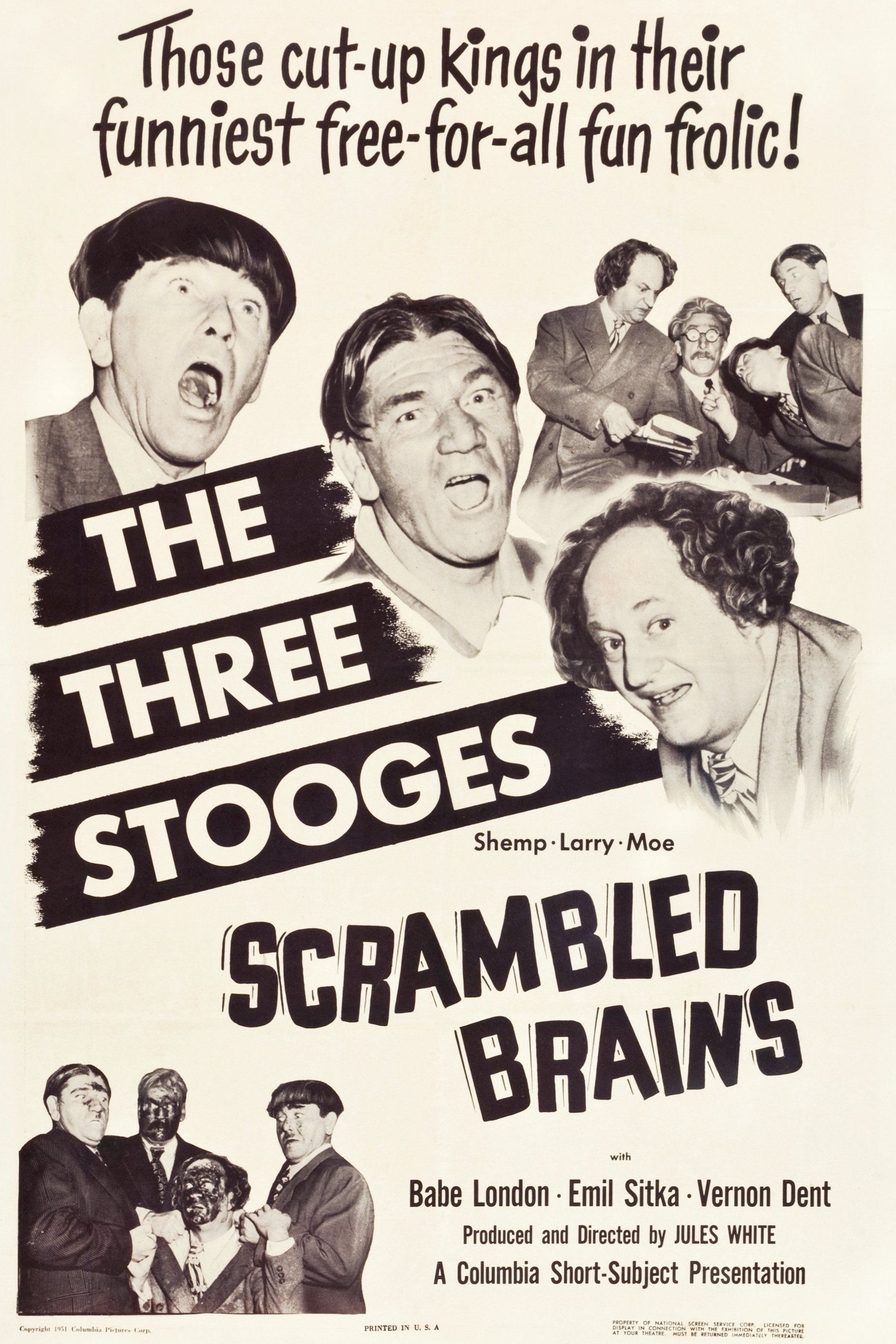 Poster de Scrambled Brains