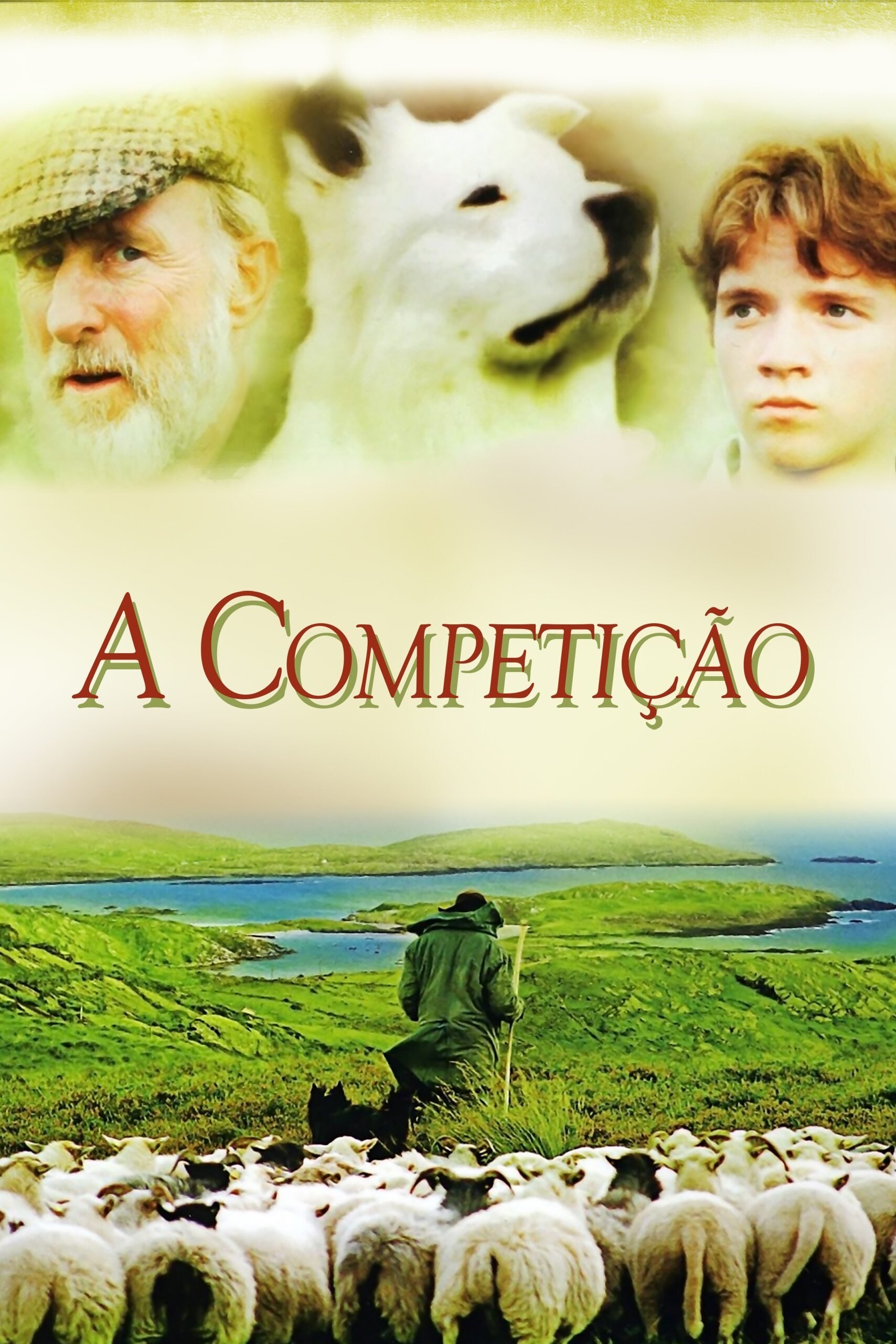 Poster de A Competição