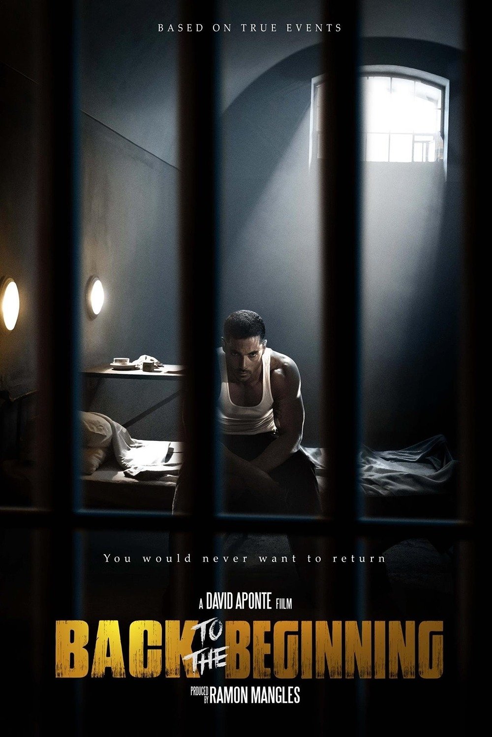 Poster de Back to the Beginning
