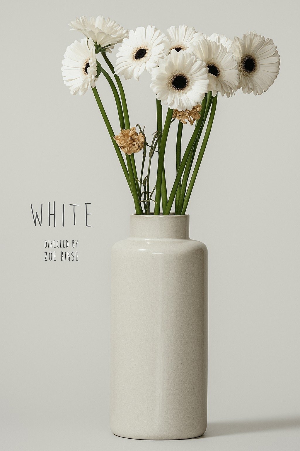 Poster de White