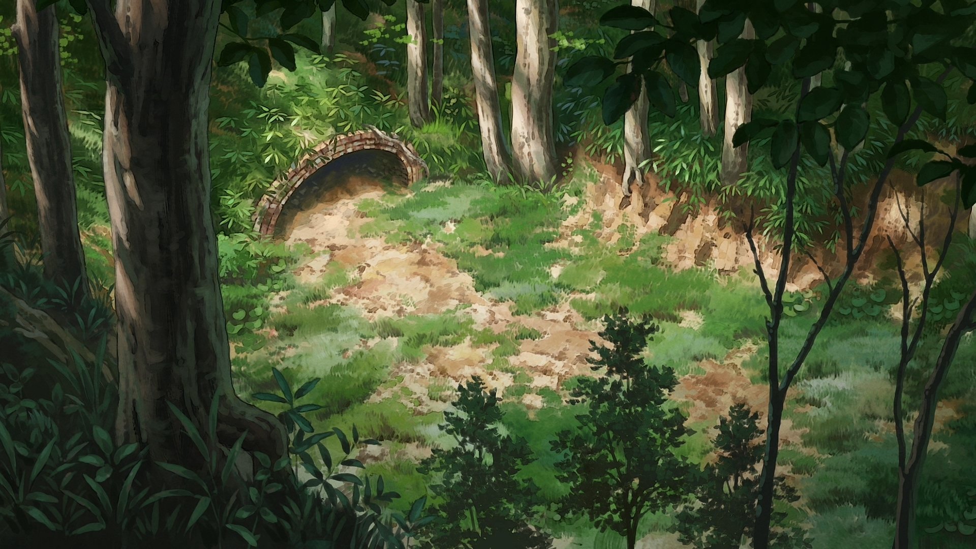backdrops